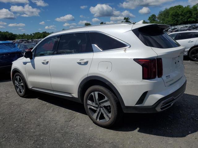 2023 Kia Sorento Sxp VIN: KNDRMDLG0P5146763 Lot: 56800364