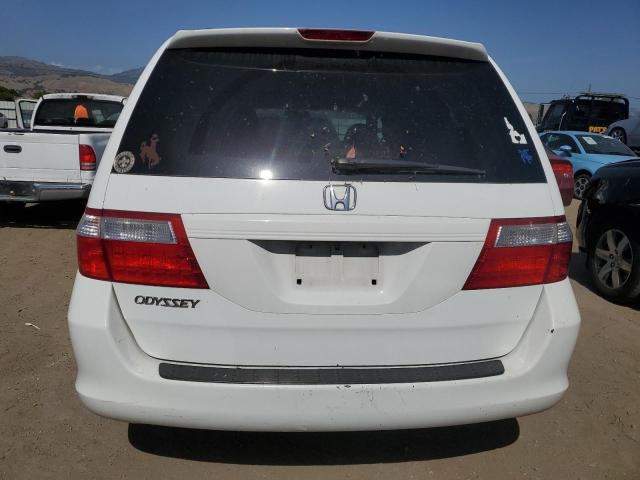 2007 Honda Odyssey Exl VIN: 5FNRL38777B428189 Lot: 55091704