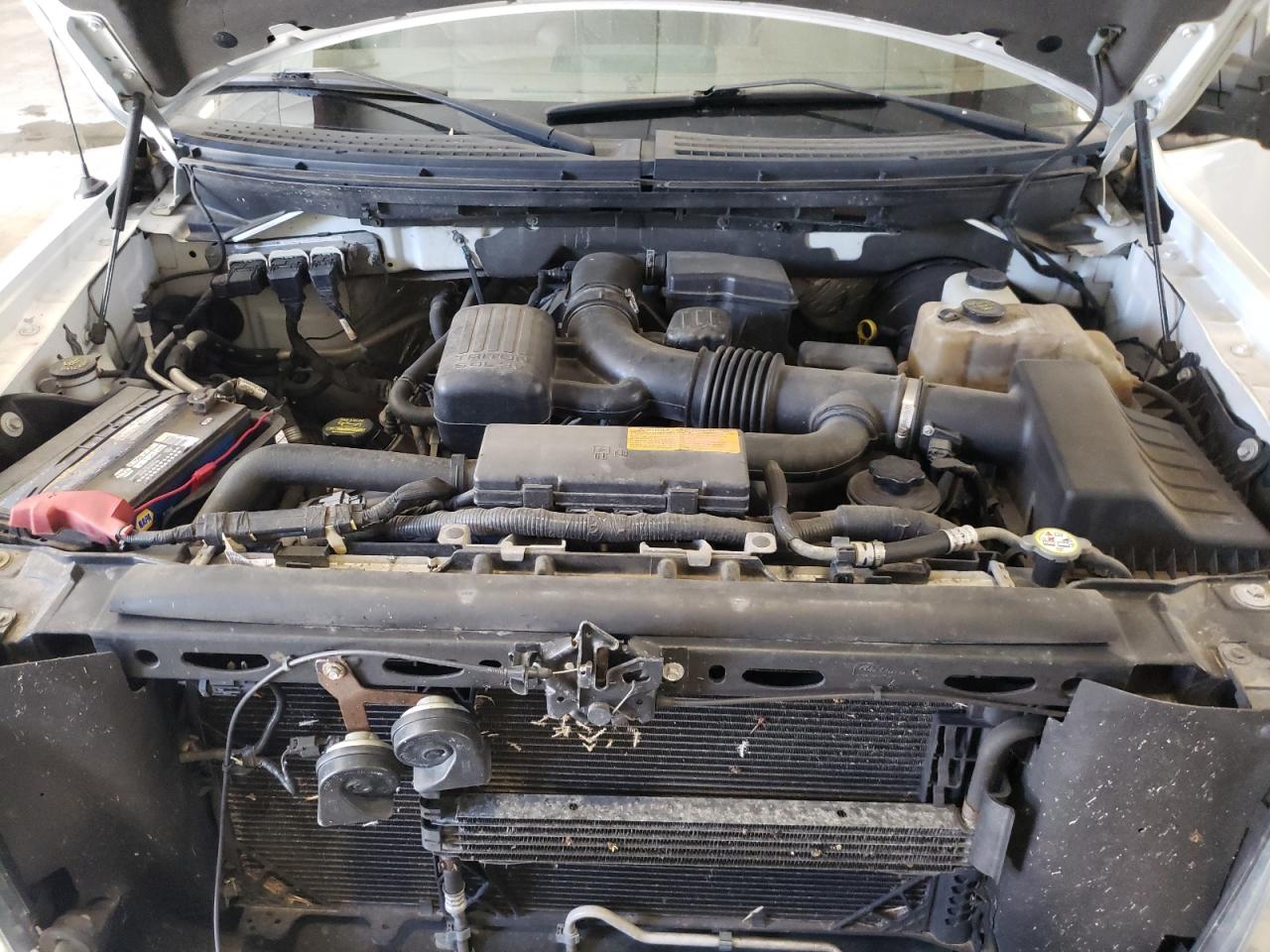 1FTPW14V19KC28213 2009 Ford F150 Supercrew