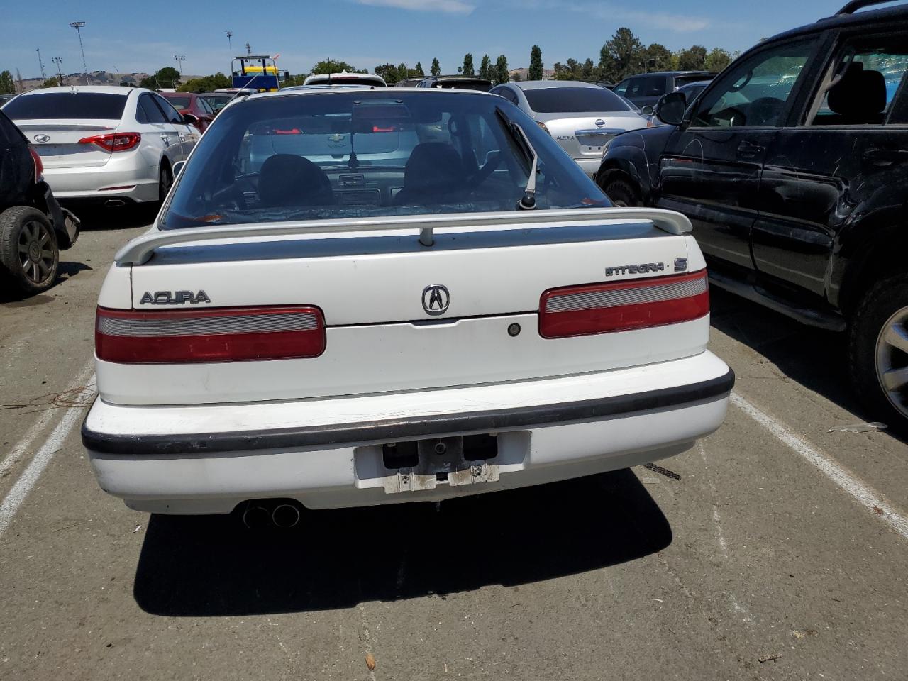 JH4DA9397MS040081 1991 Acura Integra Ls Special