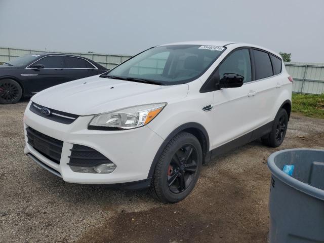 2014 Ford Escape Se VIN: 1FMCU9GX7EUC77135 Lot: 55402474