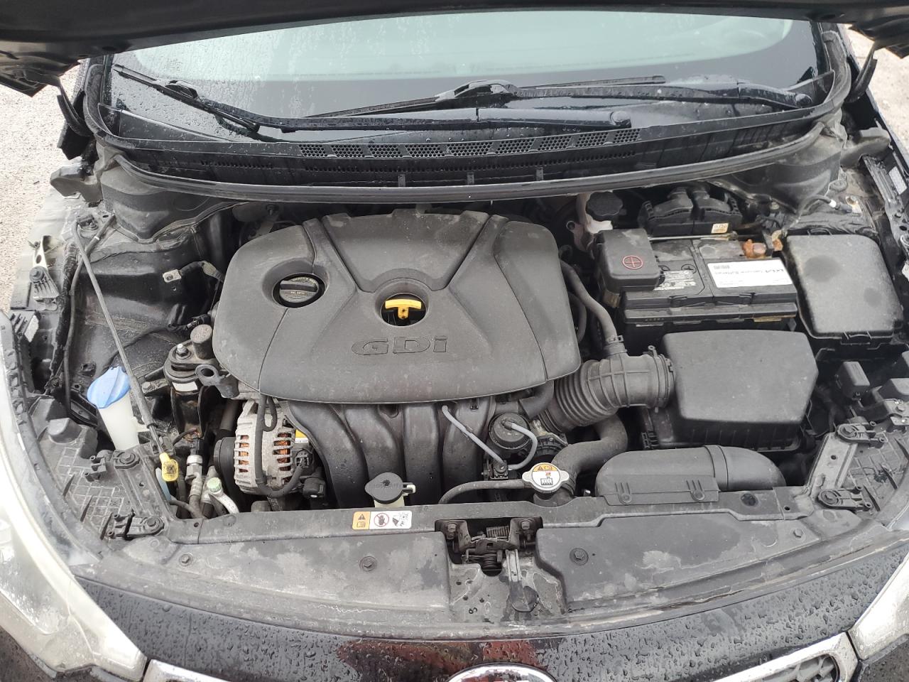 KNAFX4A83E5121517 2014 Kia Forte Ex