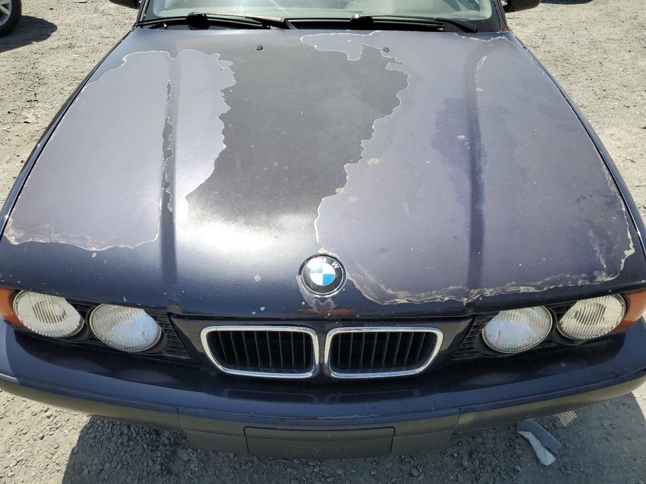 WBAHD6325SGK53605 1995 BMW 525 I Automatic