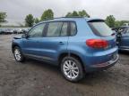 VOLKSWAGEN TIGUAN S photo