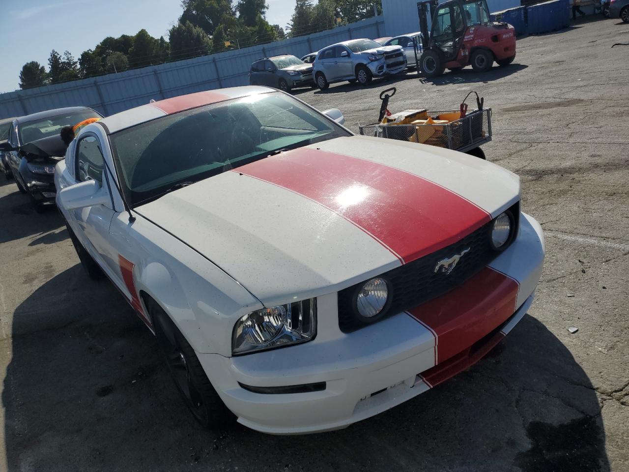 1ZVFT82H165232215 2006 Ford Mustang Gt