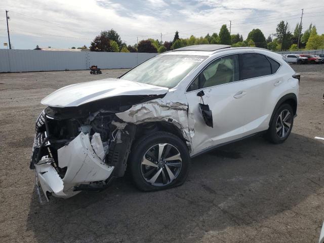 2019 LEXUS NX 300 BAS #2911780983