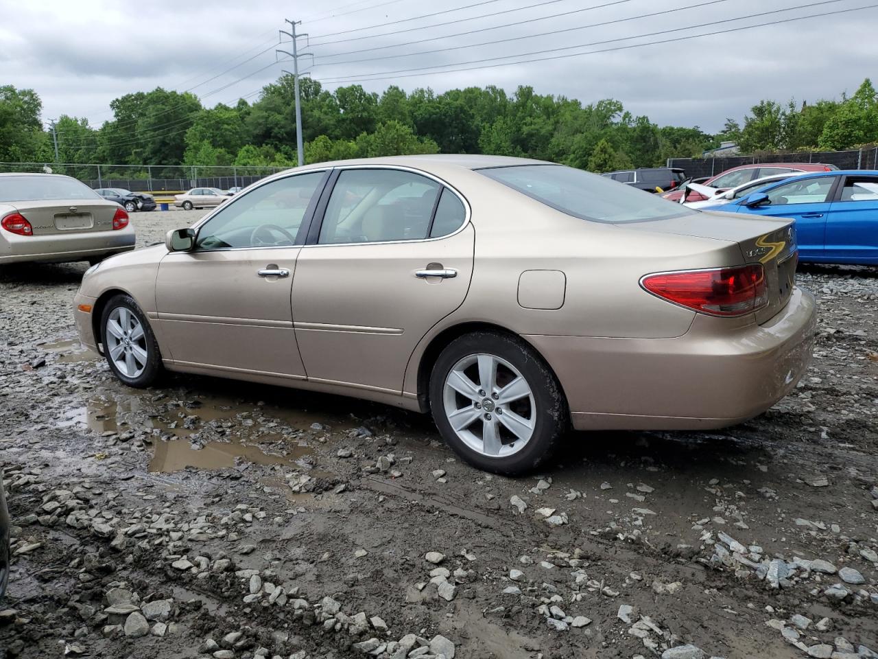 JTHBA30G165143697 2006 Lexus Es 330