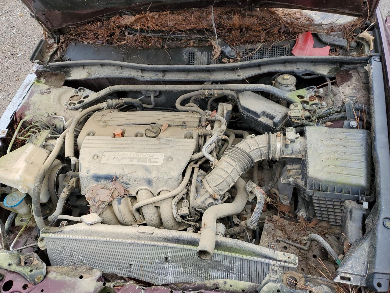 JHMCP26868C001566 2008 Honda Accord Exl