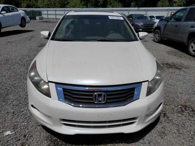 2008 Honda Accord Exl VIN: 1HGCP36898A005972 Lot: 53219694