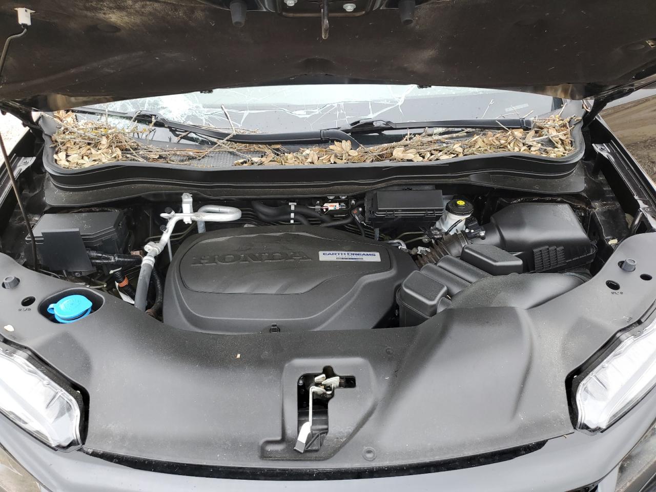 5FNYF8H57KB007726 2019 Honda Passport Exl