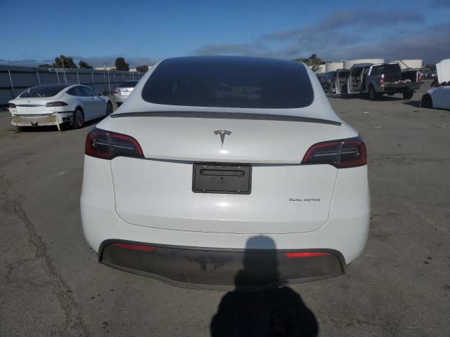 2023 Tesla Model Y VIN: 7SAYGDEE2PF613889 Lot: 54724854