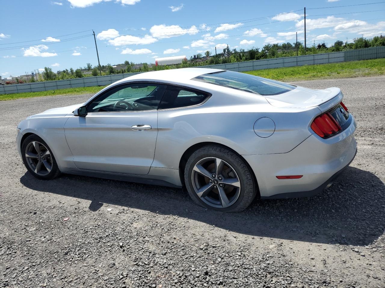 1FA6P8AM7F5410091 2015 Ford Mustang