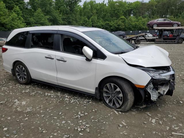 Vin: 5fnrl6h66pb029136, lot: 56244354, honda all models exl 20234