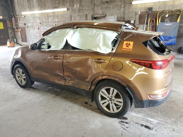 2019 Kia Sportage Lx VIN: KNDPM3AC4K7608045 Lot: 55009074