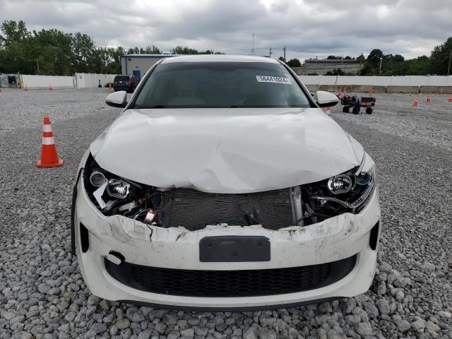 2019 KIA OPTIMA PLU KNAGV4LD3K5031980