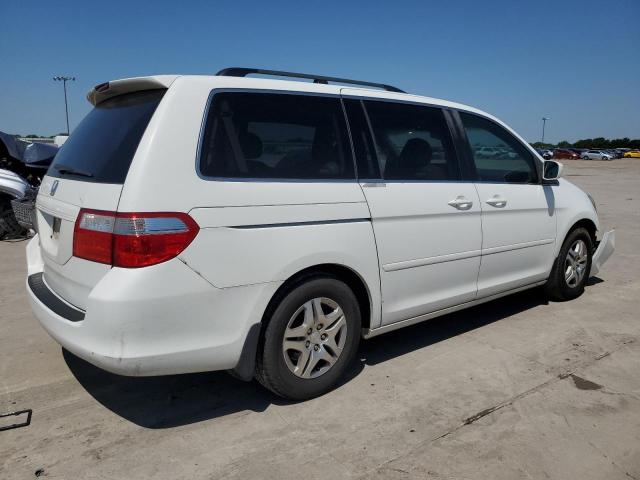 2007 Honda Odyssey Exl VIN: 5FNRL38607B453538 Lot: 54992264