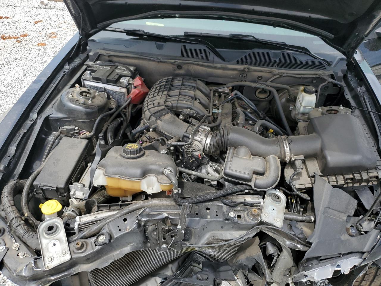 1ZVBP8AM1E5276411 2014 Ford Mustang