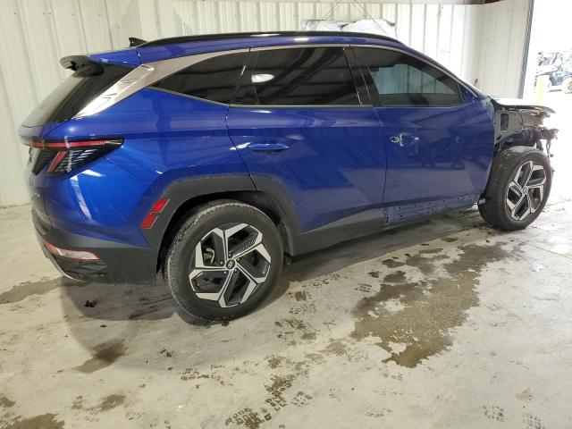 2024 Hyundai Tucson Limited VIN: 5NMJECDE9RH303014 Lot: 52524394