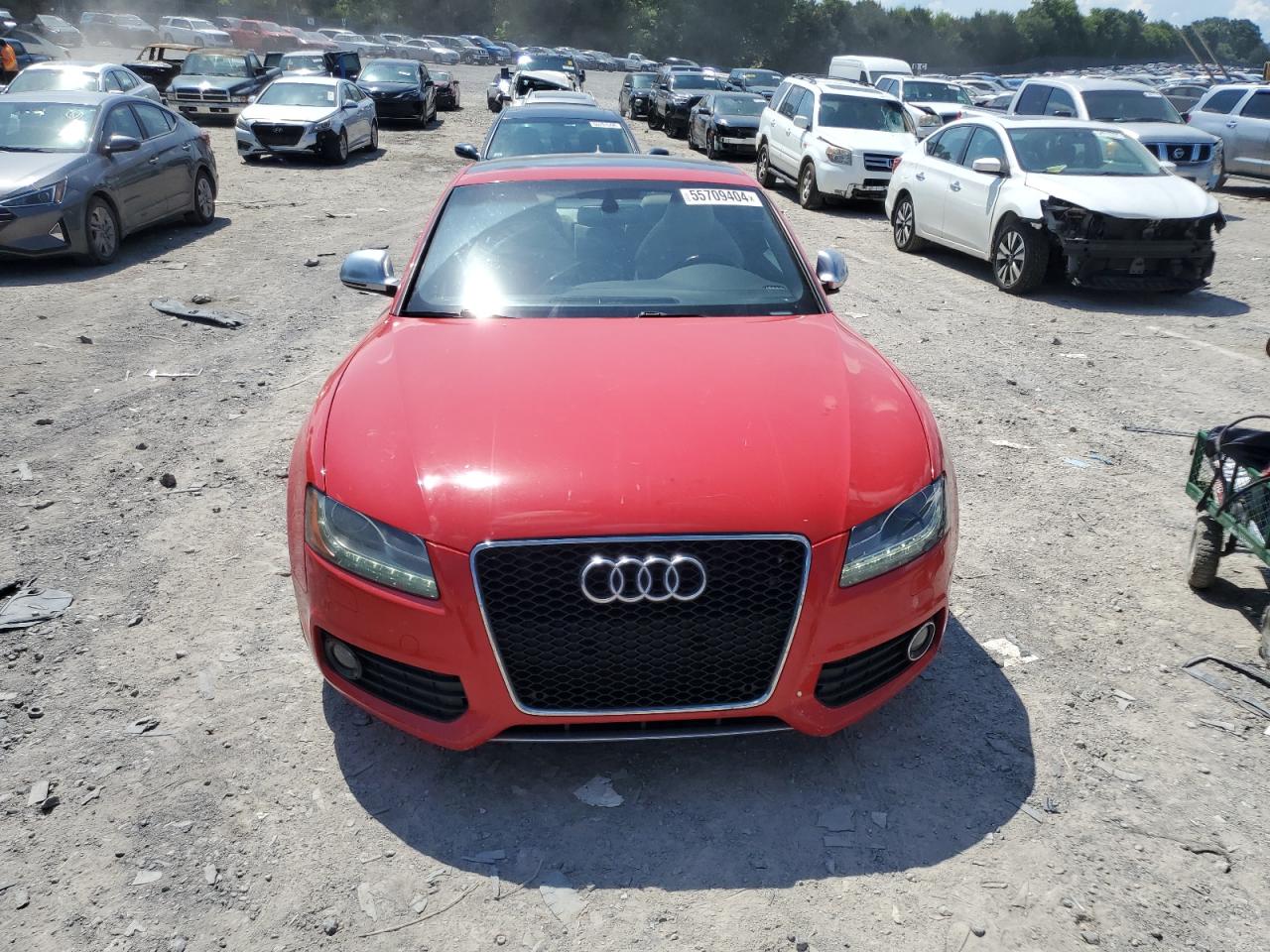 WAURV78T38A029737 2008 Audi S5 Quattro