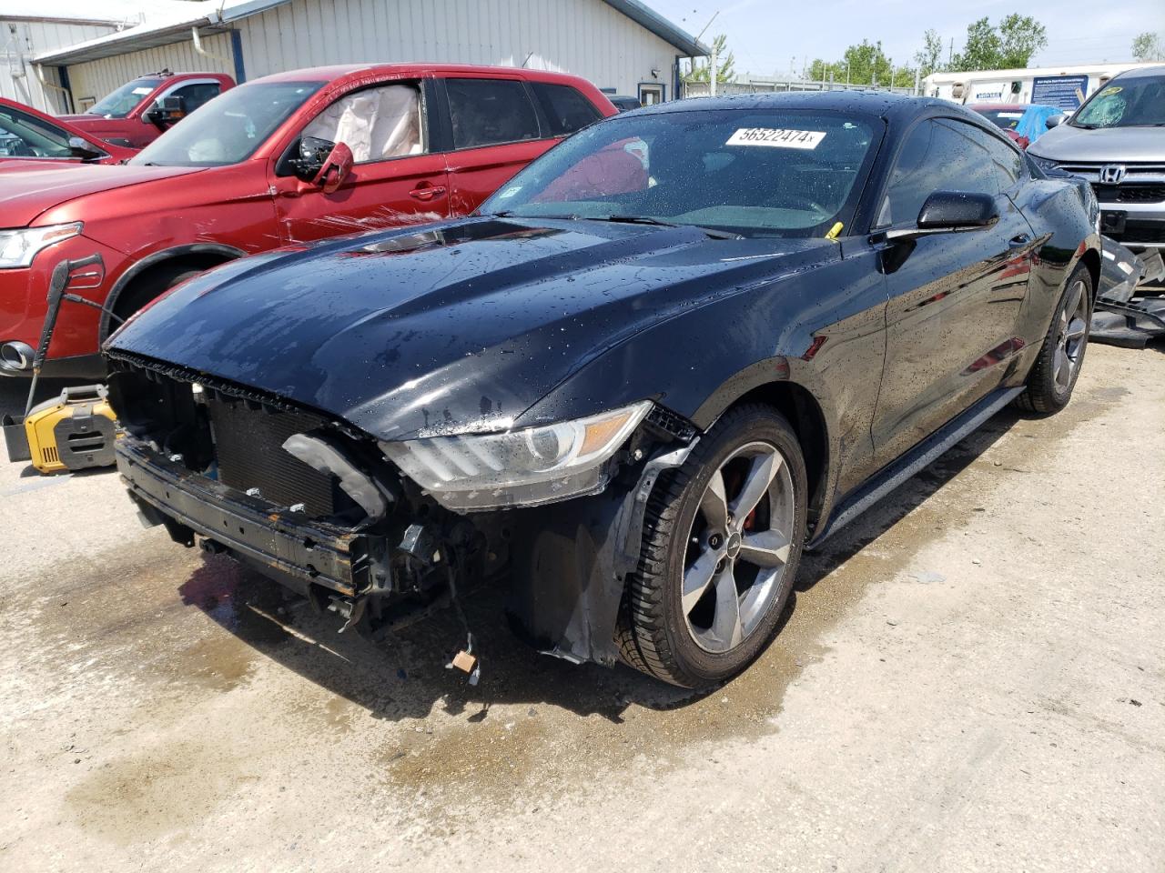 1FA6P8AM9F5323146 2015 Ford Mustang