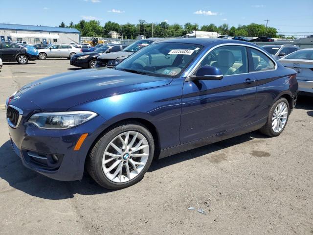 2016 BMW 228 Xi Sulev VIN: WBA1G9C54GV598728 Lot: 55256034