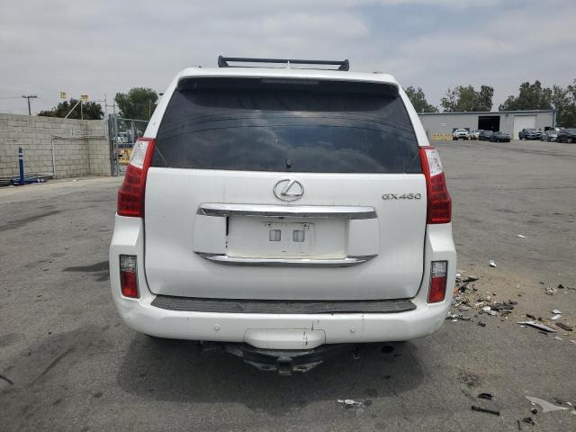 2012 Lexus Gx 460 Premium VIN: JTJJM7FX5C5049625 Lot: 56301784