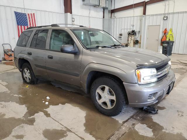 2005 Chevrolet Trailblazer Ls VIN: 1GNDT13S652333074 Lot: 54058724