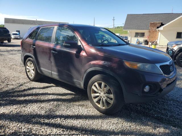 2011 Kia Sorento Ex VIN: 5XYKU3A11BG029722 Lot: 54435544