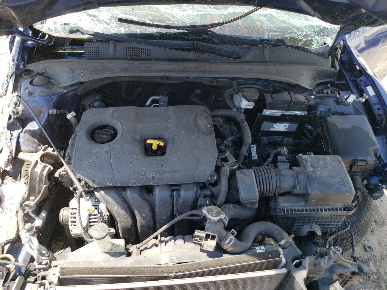 3KPF24AD5KE066387 2019 Kia Forte Fe