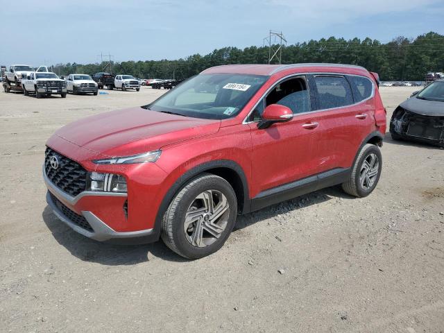 2023 Hyundai Santa Fe Sel VIN: 5NMS24AJ9PH594857 Lot: 56661184