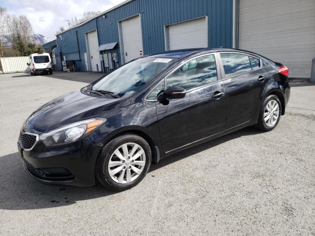 Lot #2520205427 2014 KIA FORTE LX salvage car