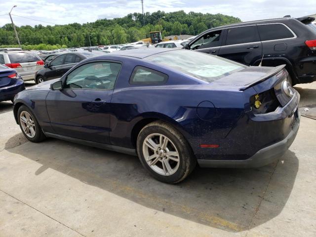 2010 Ford Mustang VIN: 1ZVBP8AN1A5159401 Lot: 53464234