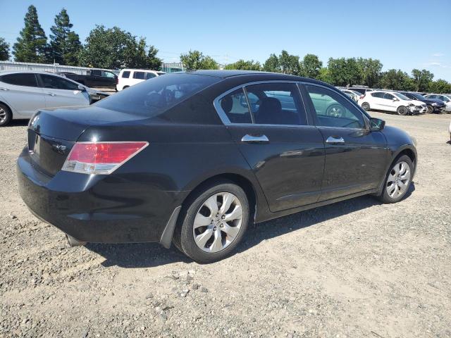 2008 Honda Accord Exl VIN: 1HGCP36828A025562 Lot: 53878934