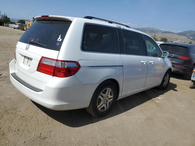 2007 Honda Odyssey Exl VIN: 5FNRL38777B428189 Lot: 55091704