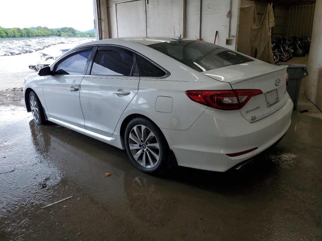 2016 Hyundai Sonata Sport VIN: 5NPE34AF3GH368564 Lot: 54444254