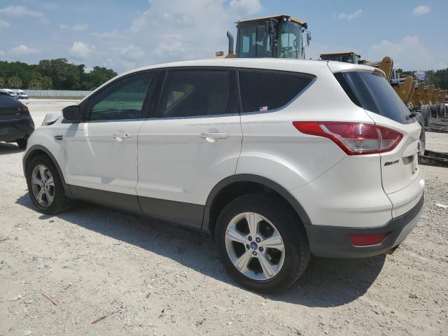 2014 Ford Escape Se VIN: 1FMCU0GX1EUA10987 Lot: 56262644