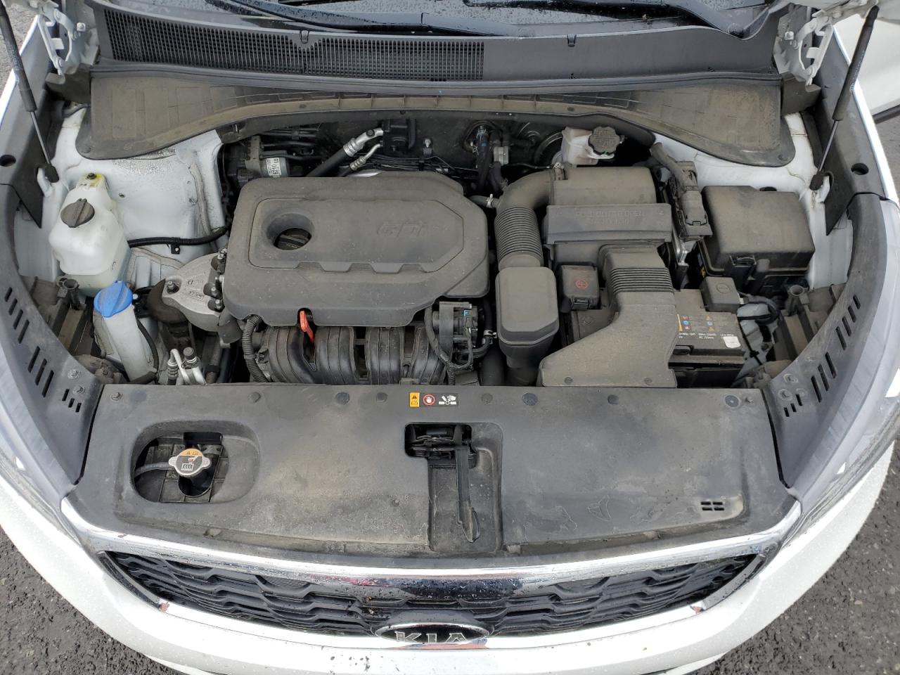 5XYPGDA31LG650237 2020 Kia Sorento L