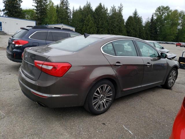 2014 Kia Cadenza Premium VIN: KNALN4D79E5156560 Lot: 53307804