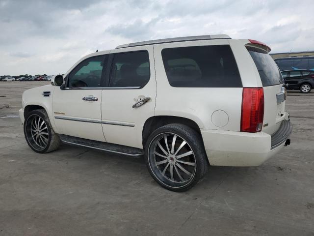 2010 Cadillac Escalade VIN: 1GYUCAEF8AR286764 Lot: 54899924