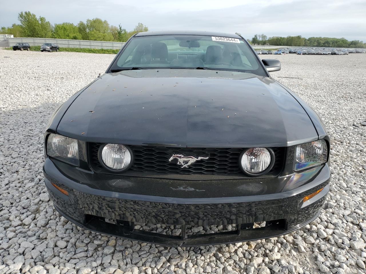 1ZVFT82H155158339 2005 Ford Mustang Gt