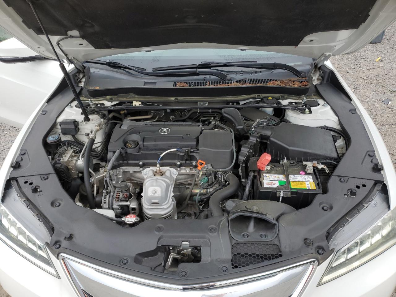 19UUB1F31FA014741 2015 Acura Tlx