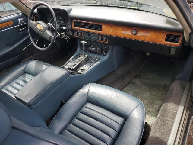 1986 Jaguar Xjs VIN: SAJNV5849GC125956 Lot: 55941424