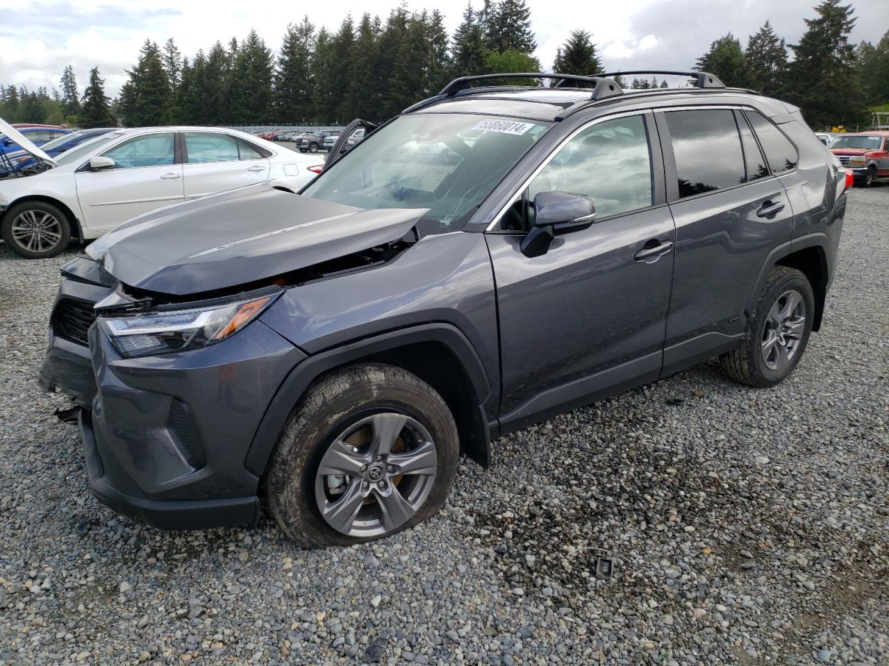 4T3RWRFV4RU130675 2024 Toyota Rav4 Xle