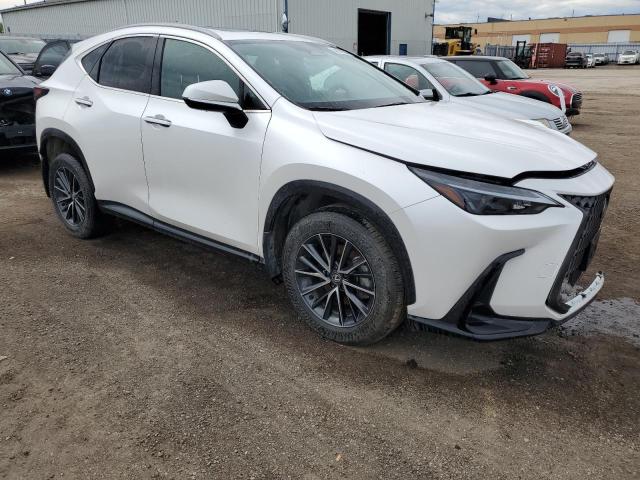 2024 Lexus Nx 350H Base VIN: 2T2GKCEZXRC019560 Lot: 54573984