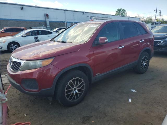 2011 Kia Sorento Base VIN: 5XYKTCA11BG064117 Lot: 54537024