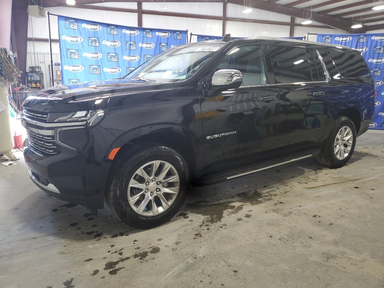 Lot #2558554201 2024 CHEVROLET SUBURBAN C