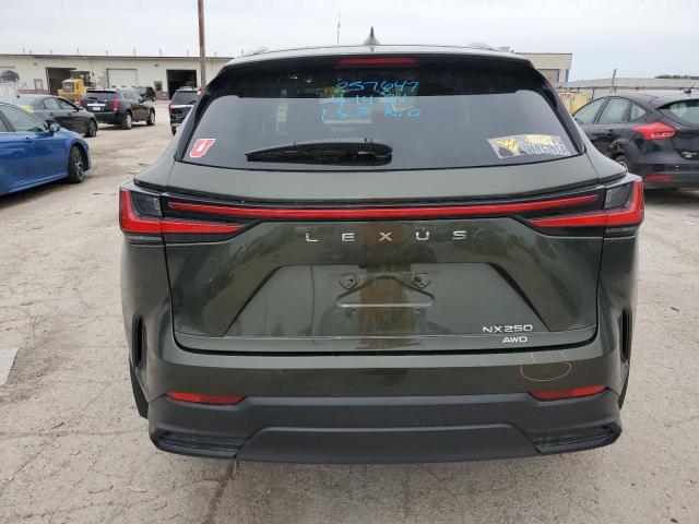 2023 LEXUS NX 250 2T2ADCEZ7PC003362