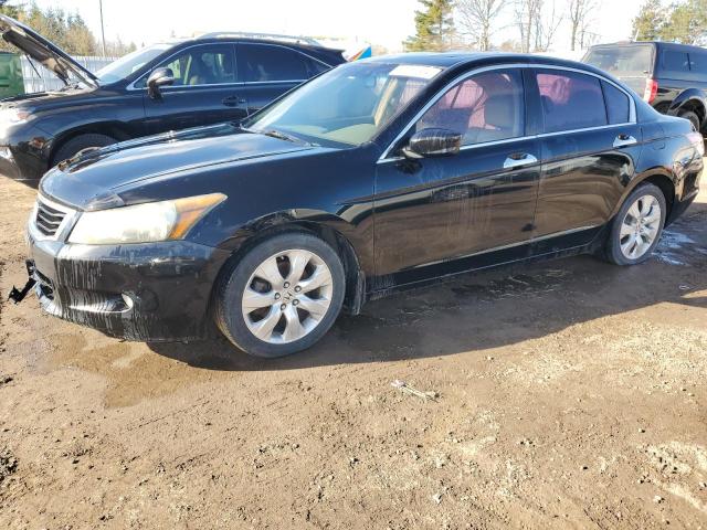 2009 Honda Accord Exl VIN: 1HGCP36859A800955 Lot: 53261324