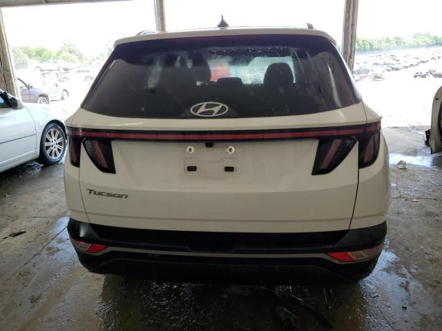 2023 Hyundai Tucson Sel VIN: 5NMJB3AE2PH230093 Lot: 55890084