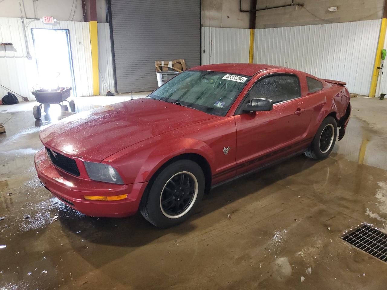 1ZVHT80N295104409 2009 Ford Mustang